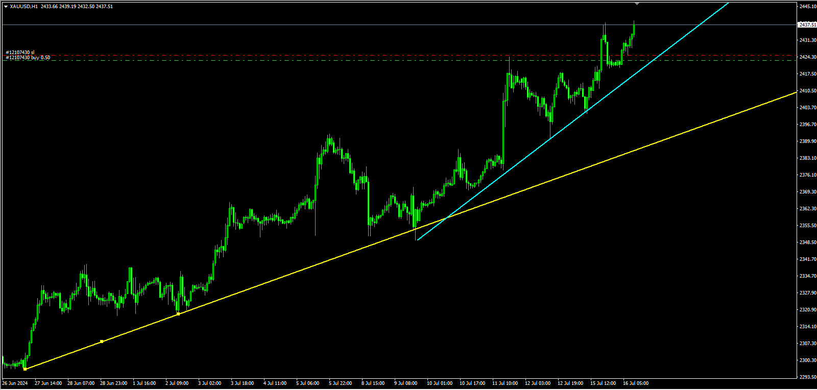 2024年09月08日:薛晓庆：金价高处不胜寒，提防多头获利回吐