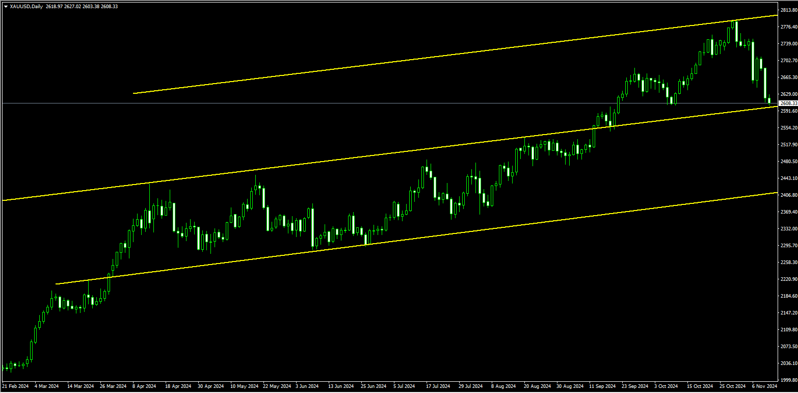2024年11月13日:薛晓庆：黄金，谨防发生大幅度反弹动作
